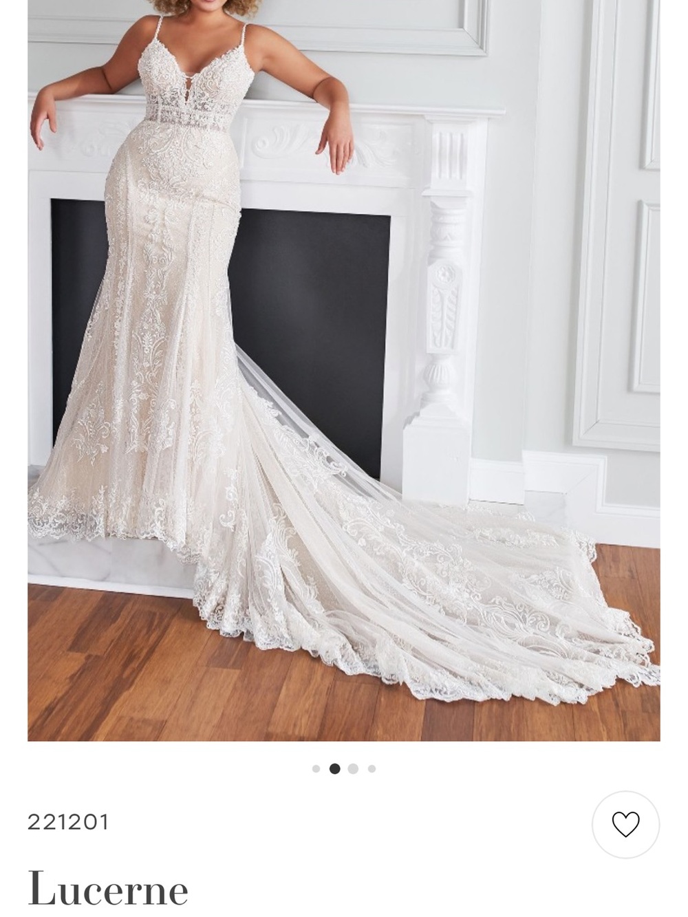 Elegant Ivory Lace Bridal Gown with Train